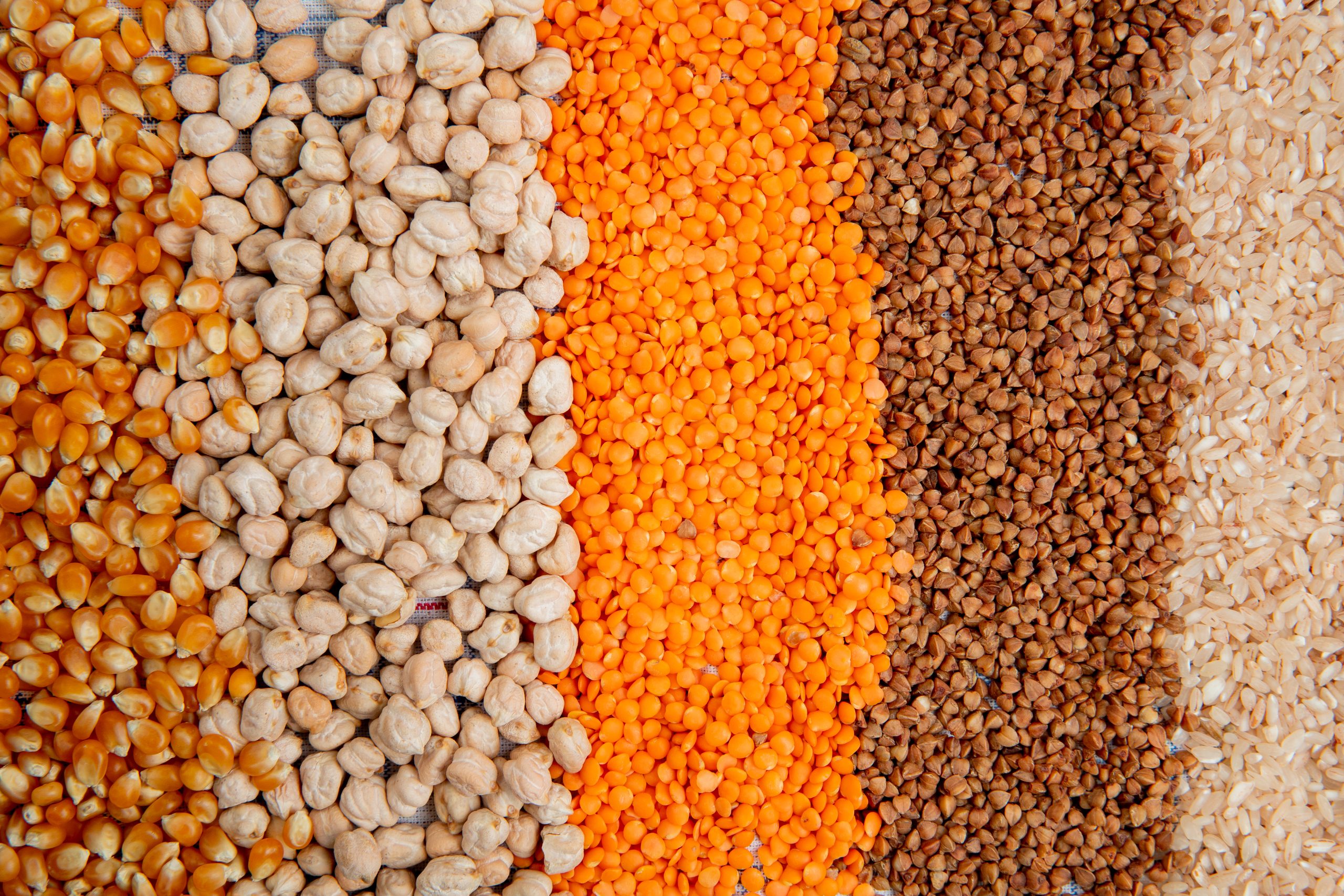 Seeds