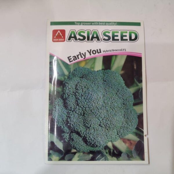 Hybrid broccoli f1 asia seeds