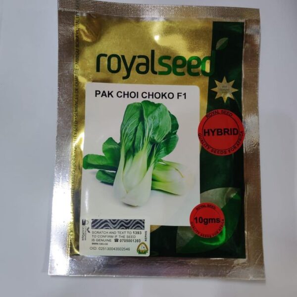 Pak choi choko f1 seeds royal seed