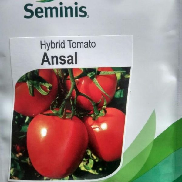 Hybrid Tomato Ansal F1 5g,10g and 25g (Seminis)