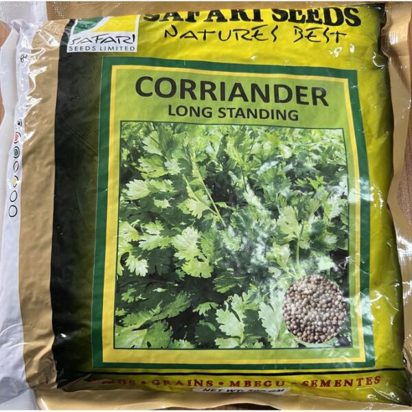 Safari CORIANDER LONG STANDING