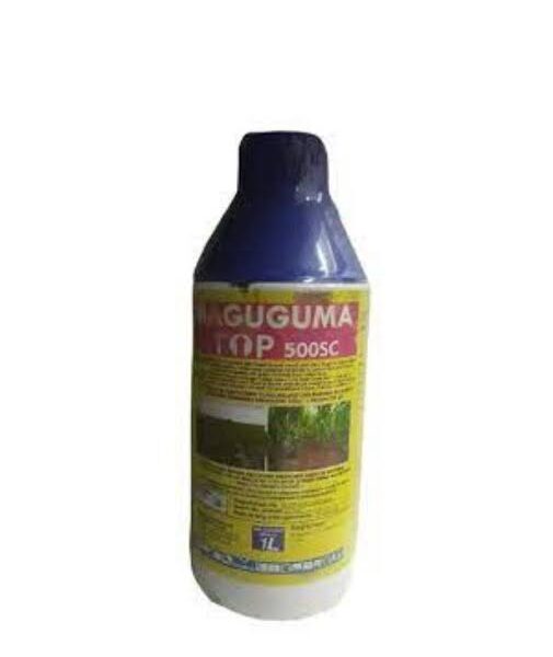 Maguguma top 500SC herbicide